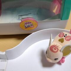 ハムスターのおもちゃの画像