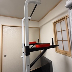 WASAIトレーニングベンチ付き懸垂マシン の画像