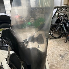 jf81 スクリーン