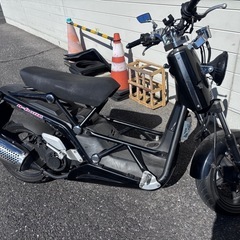 決定！DAELIM　B-BONE　125Fi　原付二種の画像