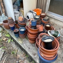多数の植木鉢…