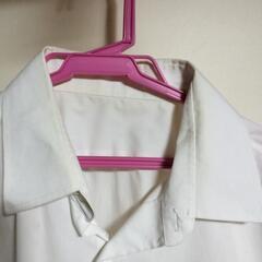 学生シャツの画像