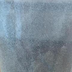 【受け渡し予約済】ゾウリムシ②　500ml　２本