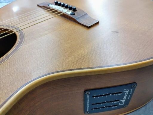 ドイツ製 lakewood M−18 ギター