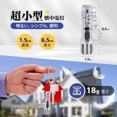 【セット販売】新品★キーホルダーライ ト★COB LEDライト★ハンディライト★ミニ懐中電灯★USB-C充電式★軍用★防水★アウトドア★キャンプ★釣りの画像