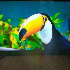 SONY BRAVIA  KJ-55x8550Gの画像