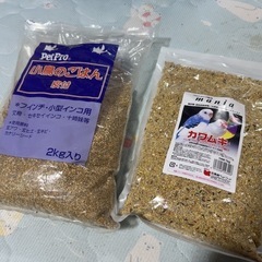 セキセイインコの餌