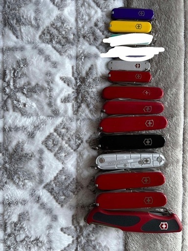 その他 victorinox