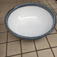 睡蓮鉢