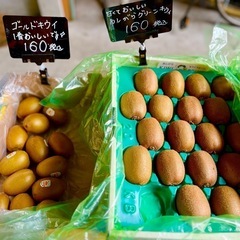 【在庫2】ゴールデンキウイ🥝あしがらグリーンキウイ
