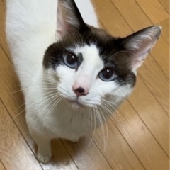 お気軽にお問い合わせ下さい。