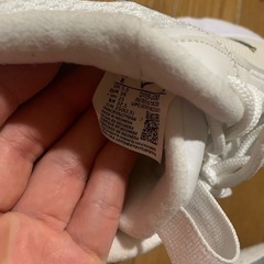 NIKEスニーカー　AirMax25.0　の画像