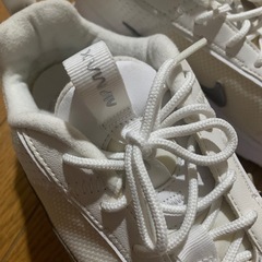 NIKEスニーカー　AirMax25.0　の画像