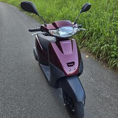 HONDA タクトベーシック 50cc