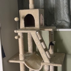 キャットタワー 中古品 ほぼ未使用