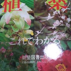 ⭐️取引決定 琉球植物誌 薬用植物 (しーちゃん) 首里の医学