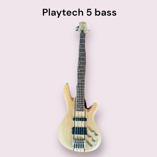 レア】PLAYTECH プレイテック 5弦 エレキベース (FBF) 東郷の