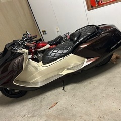 マグザムの画像