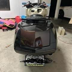 マグザムの画像