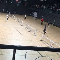 ✨ピックルボール参加者募集✨ - 豊明市