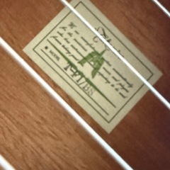 TAKAMINE T-F1/BS タカミネ アコースティックギターの画像