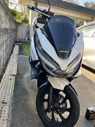 ホンダ PCX JF81