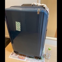 キャリーバック　長期外泊用の画像