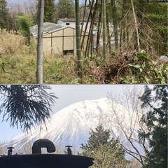 タケノコ掘って山分け
