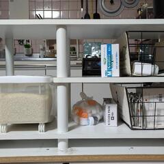 ニトリ　テレビラック　白
