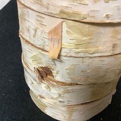 天然木　白樺　円形木材 敷台　輪切り　台座　切り株　 5個セットの画像