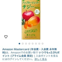 24本　アップルマンゴーサジー　ジュース