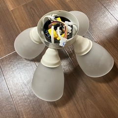 サーキュレーター + 照明
シーリングライト