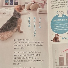 ペットの抜け毛が付きにくくなる洗濯洗剤　リモサボン3本 ②の画像