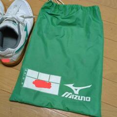 Mizuno 体育館シューズ 23.5cm ホワイト/グリーンの画像