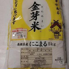 金芽米 にこまる 5kg 令和6