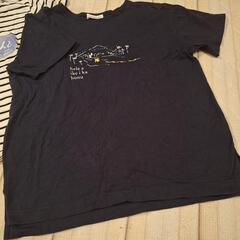 ナチュラルスタンダード Tシャツ セット 半袖 ボーダー ネイビーの画像