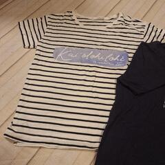 ナチュラルスタンダード Tシャツ セット 半袖 ボーダー ネイビーの画像