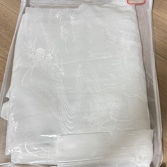 2024年購入卒業袴の画像