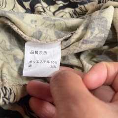 レディーストップスMの画像