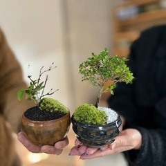 海外向けにいらなくなった物を売りたい方募集