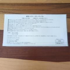 【非売品】初代ハスラー カーディーラー展示用カラーサンプルミニカーの画像