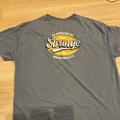 水色Tシャツの画像