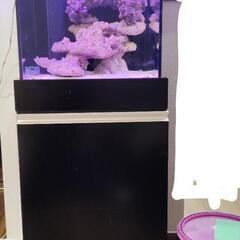 水槽　オーバーフロー水槽45cm