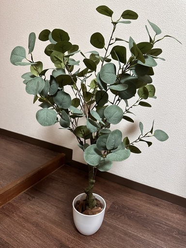 高さ85cm】 光触媒人工観葉植物ユーカリ (ティーム) 櫛田神社前 高さ85cm】 光触媒人工観葉植物ユーカリ (ティーム) 櫛田神社前