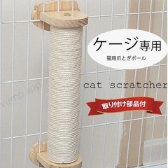 決まりました
の画像