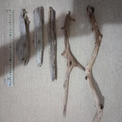 人気の！流木①🌳アクアリウム（爬虫類メダカ熱帯魚🦐水槽に❣️）