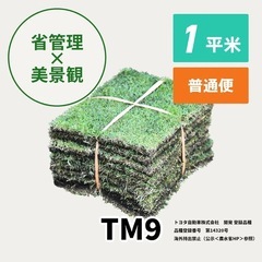 トヨタ　TM9 天然芝
の画像