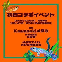 4月29日メダカイベント開催！