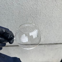 エアープランツ　容器　ガラス容器の画像