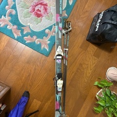 FISCHER スキー板、靴の画像